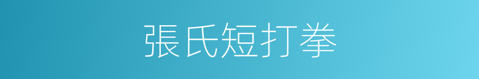 張氏短打拳的同義詞