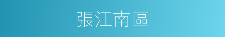 張江南區的同義詞