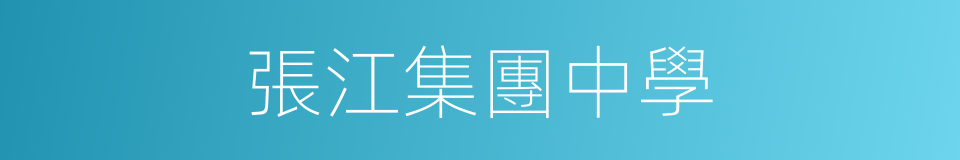 張江集團中學的同義詞