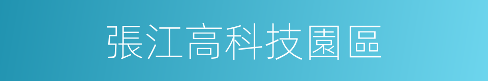 張江高科技園區的同義詞