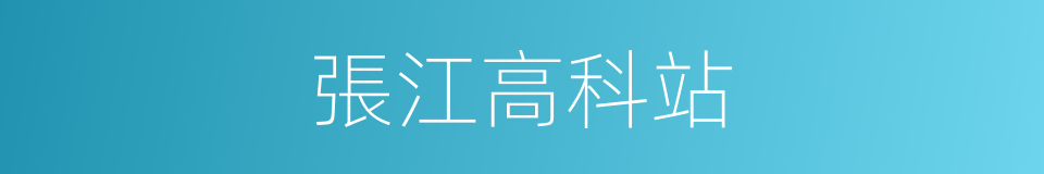 張江高科站的同義詞