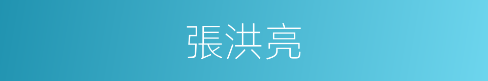 張洪亮的同義詞