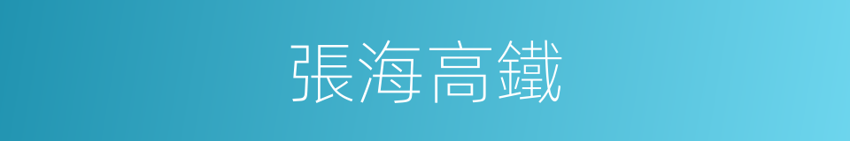 張海高鐵的同義詞
