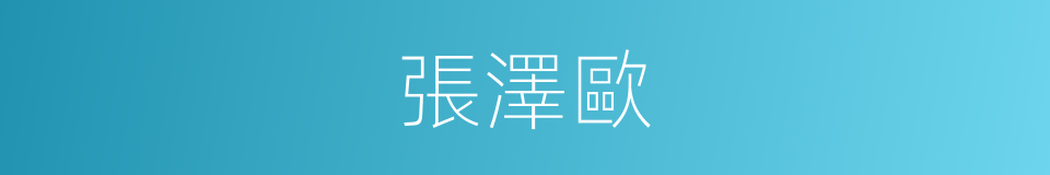 張澤歐的同義詞