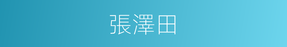 張澤田的同義詞