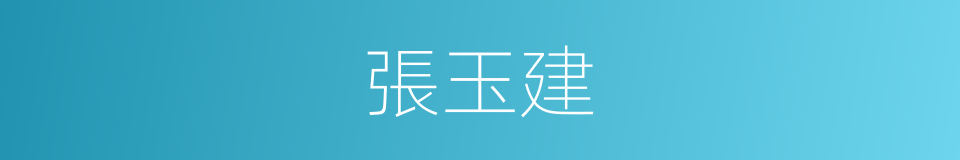 張玉建的同義詞