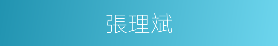 張理斌的同義詞