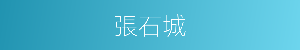 張石城的同義詞