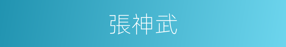 張神武的同義詞