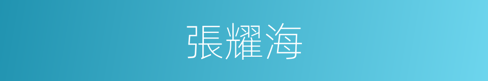 張耀海的同義詞