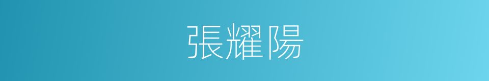 張耀陽的同義詞