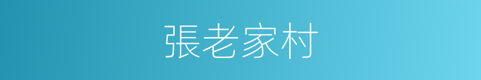 張老家村的同義詞