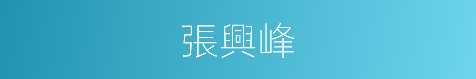 張興峰的同義詞