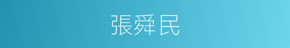 張舜民的同義詞