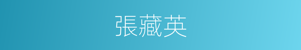 張藏英的同義詞