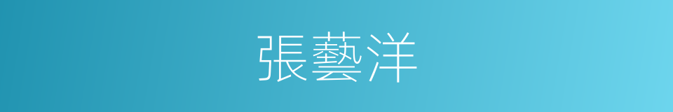 張藝洋的同義詞