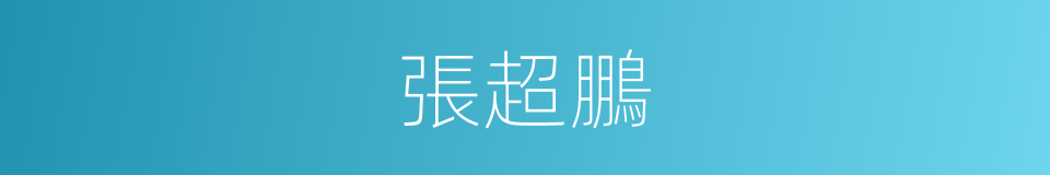 張超鵬的同義詞