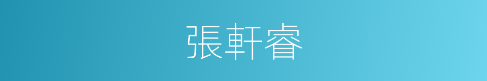 張軒睿的同義詞