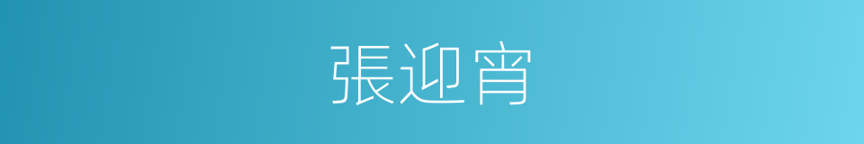 張迎宵的同義詞