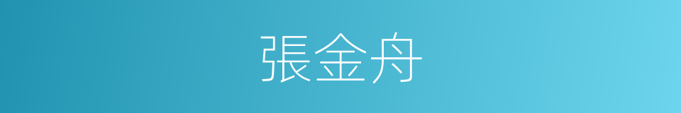 張金舟的同義詞