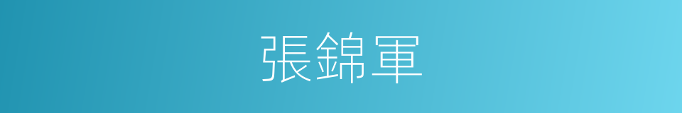 張錦軍的同義詞