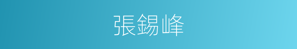 張錫峰的同義詞