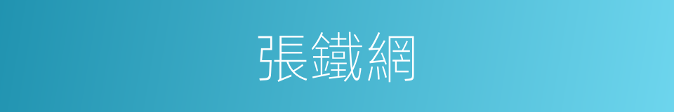 張鐵網的同義詞