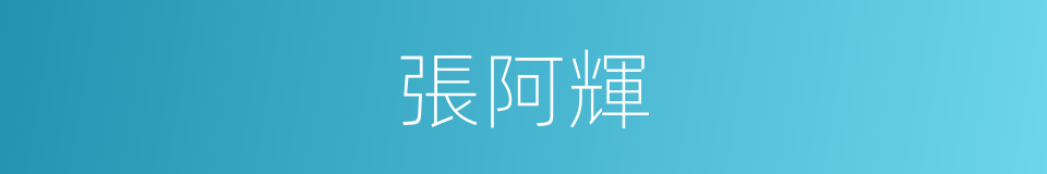張阿輝的同義詞