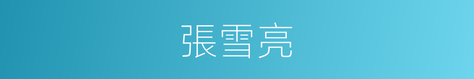 張雪亮的同義詞