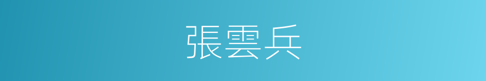 張雲兵的同義詞