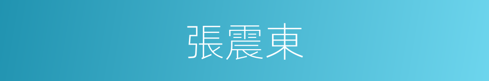 張震東的同義詞