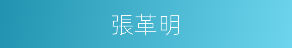 張革明的同義詞