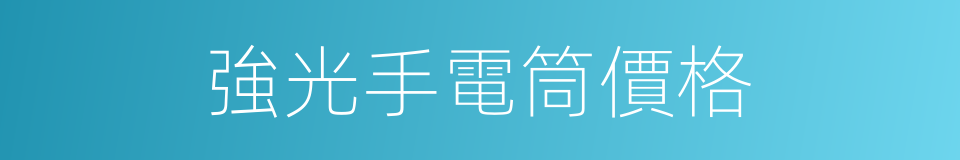 強光手電筒價格的同義詞