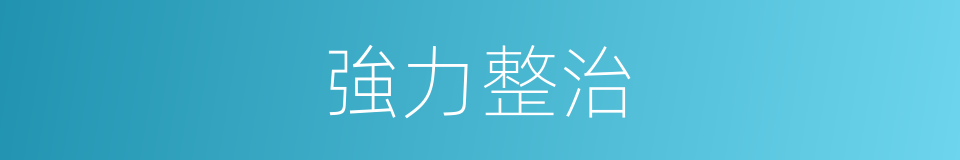 強力整治的同義詞