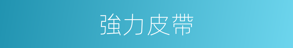 強力皮帶的同義詞