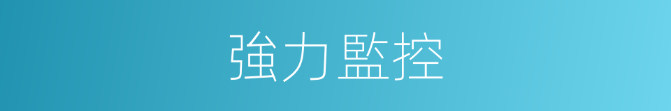 強力監控的同義詞