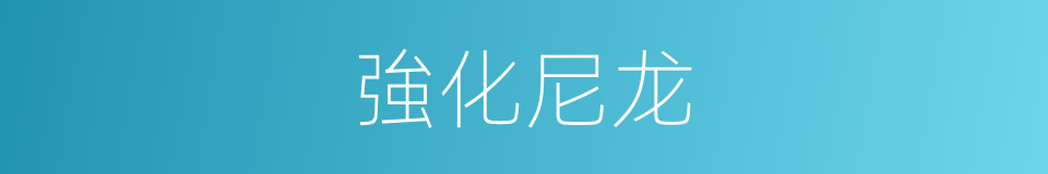 強化尼龙的同義詞