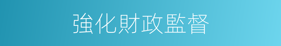 強化財政監督的同義詞