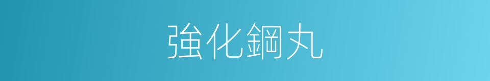 強化鋼丸的同義詞