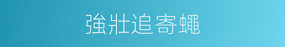 強壯追寄蠅的同義詞