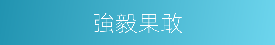 強毅果敢的意思