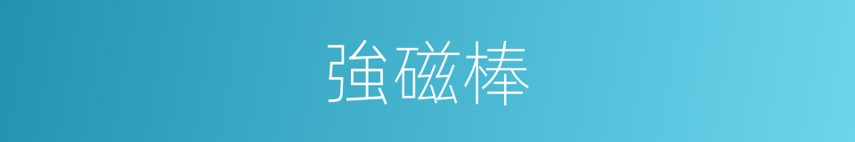 強磁棒的同義詞