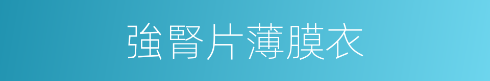強腎片薄膜衣的同義詞
