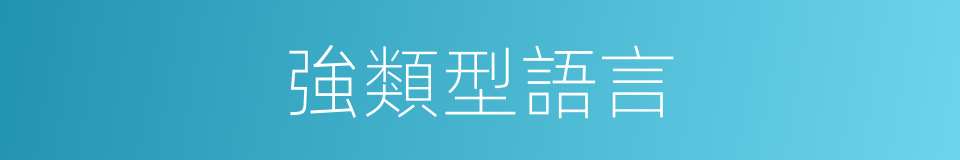 強類型語言的同義詞