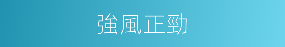 強風正勁的同義詞