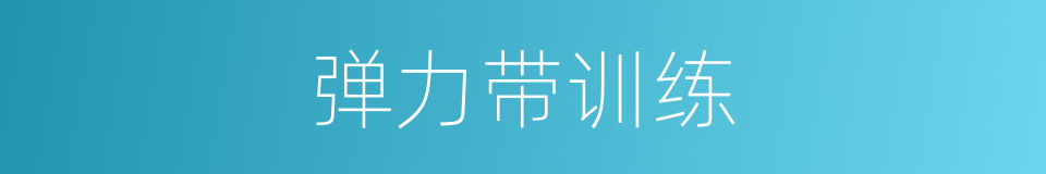 弹力带训练的同义词