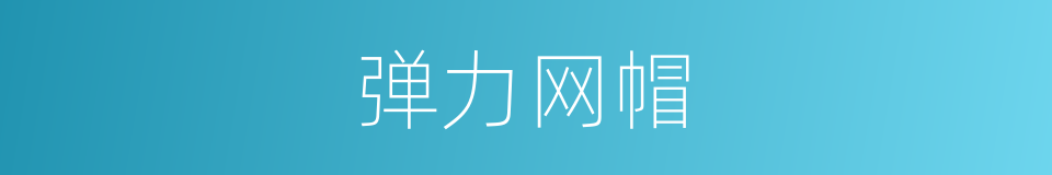 弹力网帽的同义词