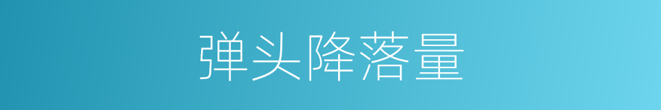 弹头降落量的同义词