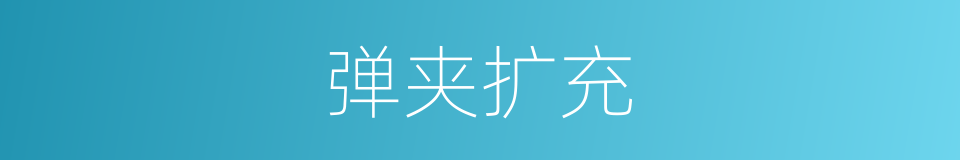 弹夹扩充的同义词