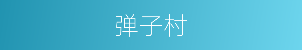 弹子村的同义词